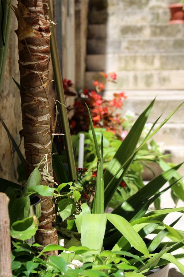 Street Garden Apartment Hvar Town Exterior foto